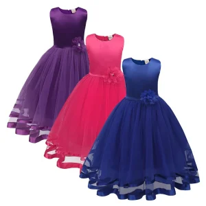 Princesse Robe Cérémonie Fille